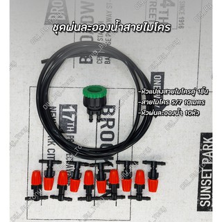 ชุดพ่นละอองน้ำ ชุดพ่นหมอก รดน้ำต้นไม้ ละอองหมอก สายไมโคร 10เมตร หัวพ่น10หัว