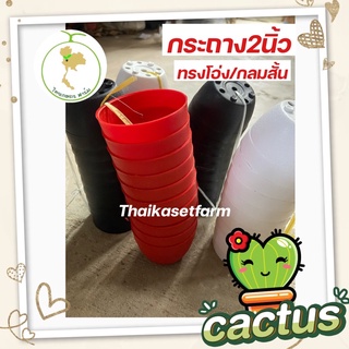 กระถางแคคตัส2นิ้วชุดที่5ขายดี‼️ทรงโอ่งกลม/สั้นสวย แข็งแรง ทนทาน🌵🌼