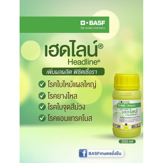 เฮดไลน์ สารป้องกันกำจัดโรคพืชที่เกิดจากเชื้อรา ออกฤทธิ์ดูดซึม กำจัดโรคได้หลายชนิด Headline BASF 250ซีซี 500ซีซี