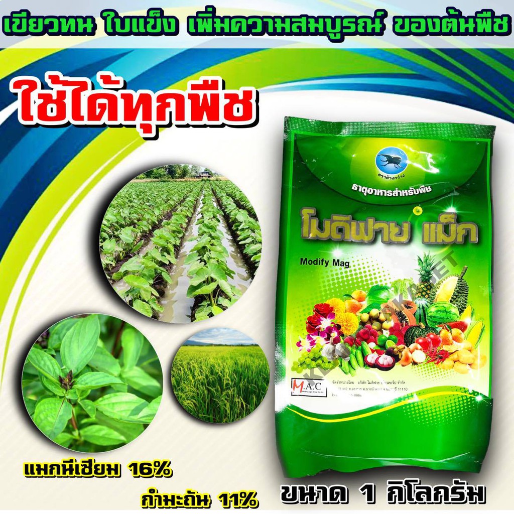 🍀 โมดิฟาย แม็ก ขนาด 1 กก  แมกนีเซียม 9% กำมะถัน 12% แมกนีเซียม สำหรับพืช เขียวทน ใบเข้ม ใบแข็ง เพิ่มความสมบูรณ์พืช