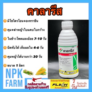 คาลารีส ขนาด 1 ลิตร (มีโซไตรโอน + อะทราซีน) คุม+ฆ่า หญ้าในข้าวโพด อ้อย ใช้ง่าย เห็นผลไว คุมได้นาน หลังปลูกแล้ว 7-20 วัน