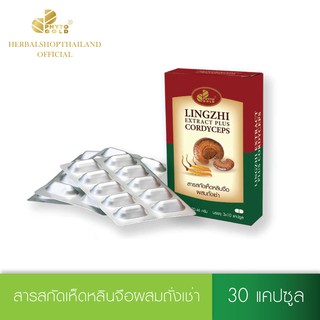 PHYTO GOLD สารสกัดเห็ดหลินจือผสมถั่งเช่า  30 แคปซูล