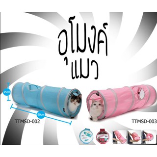 อุโมงค์แมว (TTMSD-003)