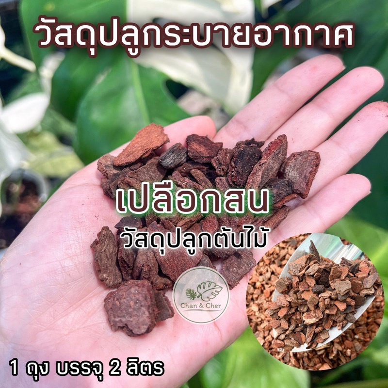 เปลือกสน วัสดุปลูกต้นไม้