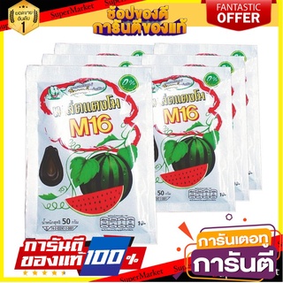 🎯BEST🎯 เอ็ม16 เมล็ดแตงโมอบ ขนาด 50 กรัม แพ็ค x 6 ซอง M16 Roasted Watermelon Seeds, 50 grams, pack x 6 sachets 🚛💨