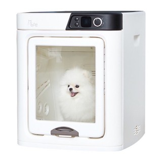 Pepe Pet Dry Room เครื่องเป่าขนสัตว์เลี้ยงอัตโนมัติ