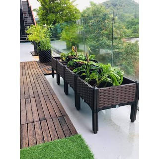 [พร้อมส่ง!!] กระบะปลูกผัก เซตเล็ก  Balcony vegetable planting box กระบะปลูกผักริมระเบียง เหมาะสำหรับปลูกพืชผักสวนครัว