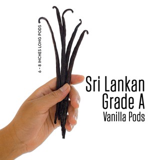 ฝักวนิลา ศรีลังกา 5 ฝัก Vanilla Bean 5 POD Grade A USDA Certified / Vanila Pod for Vanila Extract Chefs Choice best