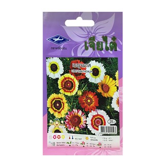 CHEYSANTHEMUM CHAI TAI SEED เมล็ดพันธุ์เบญจมาศ เมล็ดพันธุ์ ปุ๋ยและเมล็ดพันธุ์ สวนและอุปกรณ์ตกแต่ง CHEYSANTHEMUM CHAI TAI