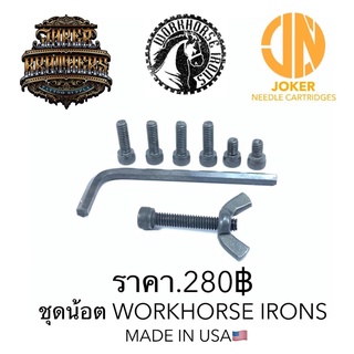 ชุดน้อต Workhorse Irons USA