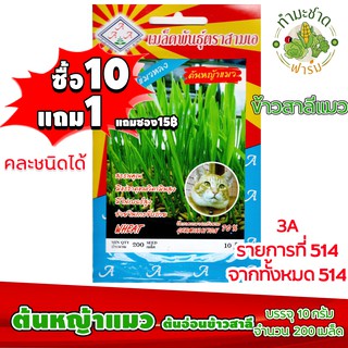 (ซื้อ10แถม1) เมล็ดพันธุ์ ต้นหญ้าแมว ข้าวสาลีแมว Wheat grass ประมาณ 200เมล็ด 3A สามเอ ผักสวนครัว เมล็ดพันธุ์พืช เมล็ดผัก