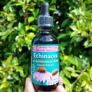 สารสกัดเอ็กไคนาเซีย โกลเด้นซีล ชนิดน้ำ Echinacea &amp; Goldenseal Liquid Extract, Alcohol Free 59 mL - Piping Rock®