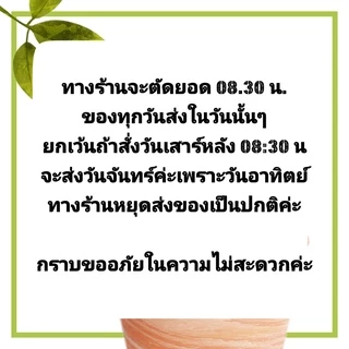 ***** ตะกร้อปุ๋ย // ตะกร้า คละสี ใส่ปุ๋ย ให้ปุ๋ยต้นไม้