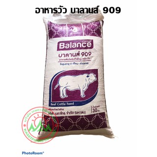 บาลานส์ 909 อาหารวัว สำหรับโคขุนอายุ 6 เดือน ถึงส่งตลาด บรรจุกระสอบ 30 กิโลกรัม