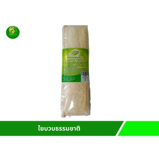 ใยบวบธรรมชาติ ไม่มีด้าม Natural Fibers