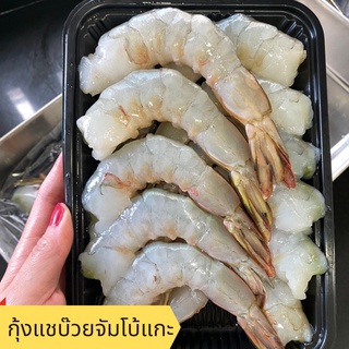 อาหารทะเล พร้อมส่ง! กุ้งแชบ๊วยจัมโบ้ สด ใหม่ / Heng Heng Seafood