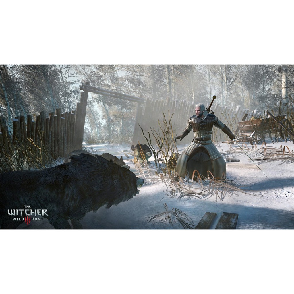 PlayStation : PS4 The Witcher 3: Wild Hunt [Game of the Year Edition ...