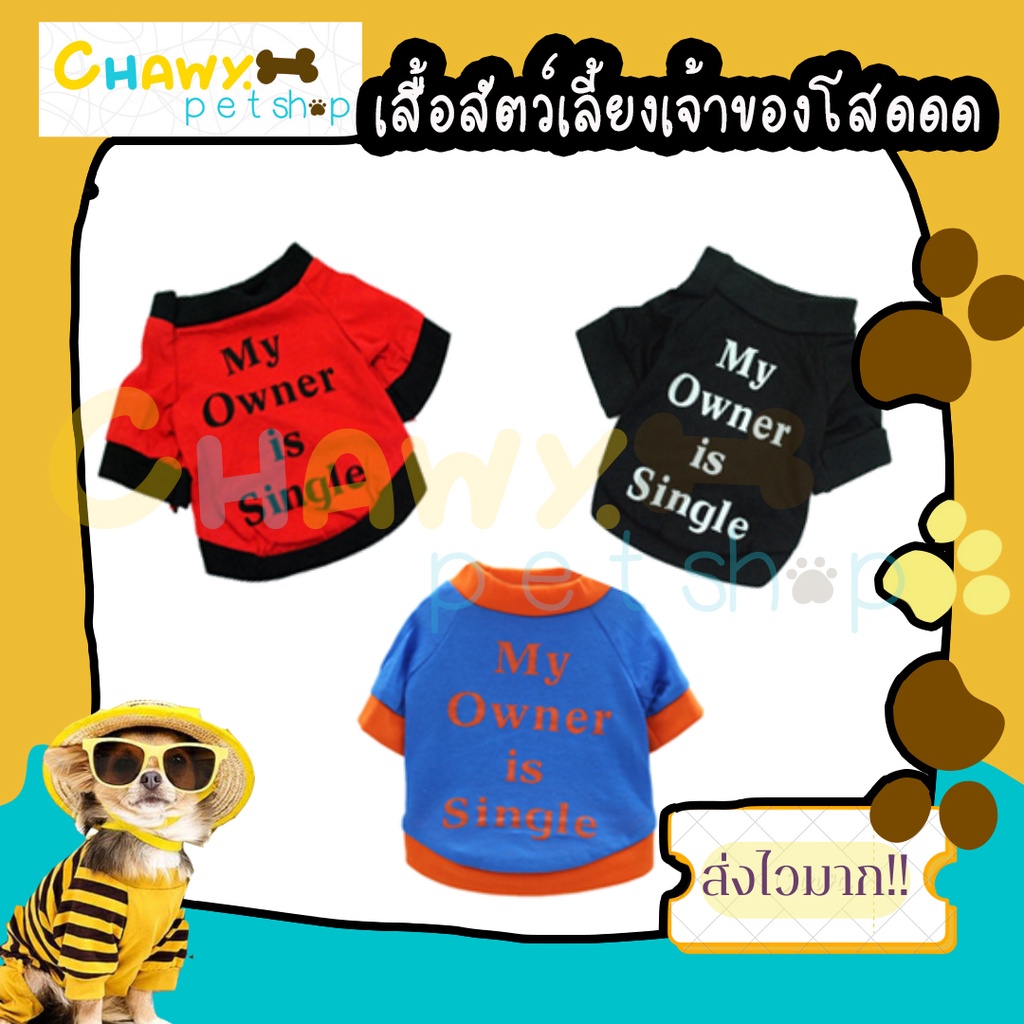 my owner single เสื้อสัตว์เลี้ยง
