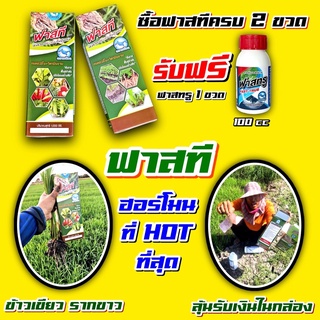 🍀 ฟาสที 1 ลิตร 💥 นิปปอนซี สาหร่ายทะเลสดสกัด เข้มข้นจากธรรมชาติ   ไซโตไคนิน 🍀 #สูตรแตกดอก ทำดอก เปิดตาดอก