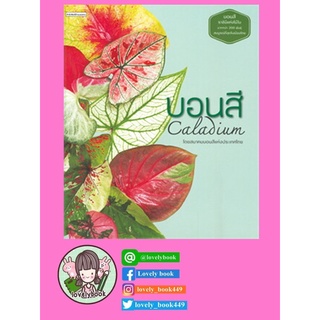 บอนสี Caladium มือ 1 ในซีล