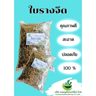 ใบรางจืด ใบรางจืดอบแห้ง รางจืดอบแห้ง ขนาด 1000 กรัม