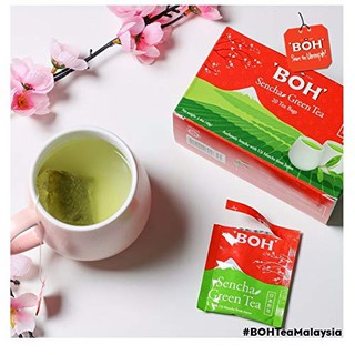 BOH Sencha green tea