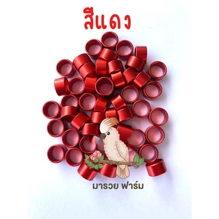 พร้อมส่งในไทย🇹🇭ห่วงขานกแก้ว เลเซอร์ ชื่อ เบอร์โทร