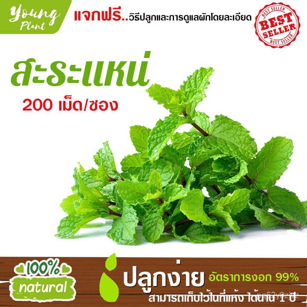 My Image 20