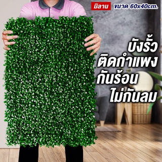 หญ้ามิลาน(10 แผ่น) หญ้ากำแพงหญ้าติดผนังขนาด40x60cm. กำแพงหญ้าเทียม หญ้าแผ่นหญ้ากำแพงรั้ว ติดระแนง หญ้าบังแดด ต้นไม้ปลอม