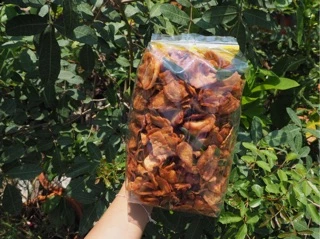กล้วยเบรคแตก กรอบ 500g ธรรมชาติ✨ กล้วยเบรคแตกแม่สุพรรณี อร่อยมาก🔥 กล้วยสุกทอด
