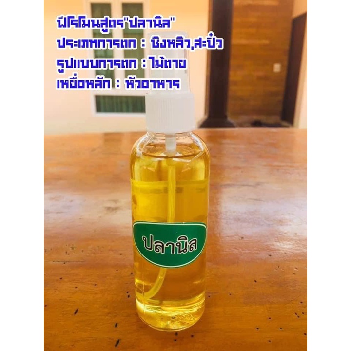 ฟีโรโมน สูตร ปลานิล