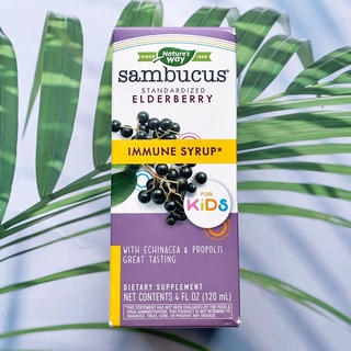 อัลเดอร์เบอร์รี่สกัด สำหรับเด็ก รสชาติดี Sambucus for Kids Standardized Elderberry Immune Syrup 120 ml (Natures Way®)