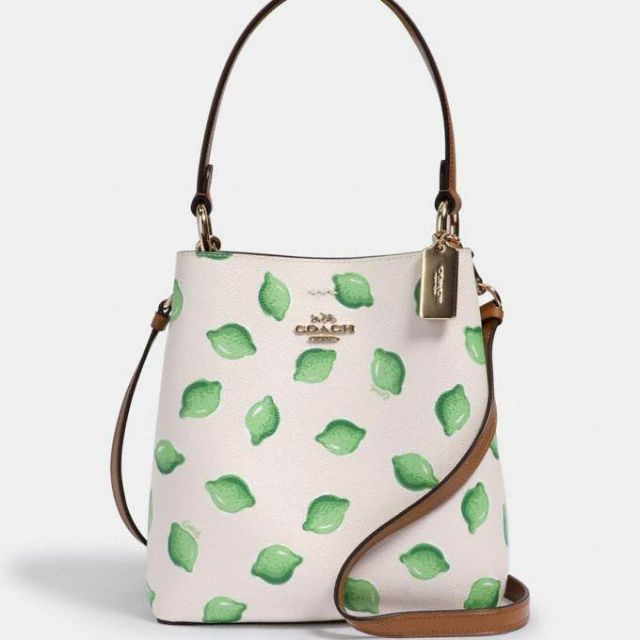 COACH SMALL TOWN BUCKET BAG IN SIGNATURE CANVAS WITH WATERMELON PRINT (COACH 1625) แท้💯outletนำเข้าจากตปท.(ขนาด8.5นิ้ว)