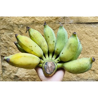 ราคา🌟#กล้วยน้ำว้าปลอดสาร…👵🏻 สวนอาม่าอัมพวา 👵🏻 🍌#กล้วยน้ำว้าอัมพวา🍌✨✨✨