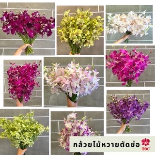 กล้วยไม้หวายตัดช่อคละสี เกรดซี (ต่อกิโล) สำหรับปักแจกัน จัดตกแต่งสถานที่