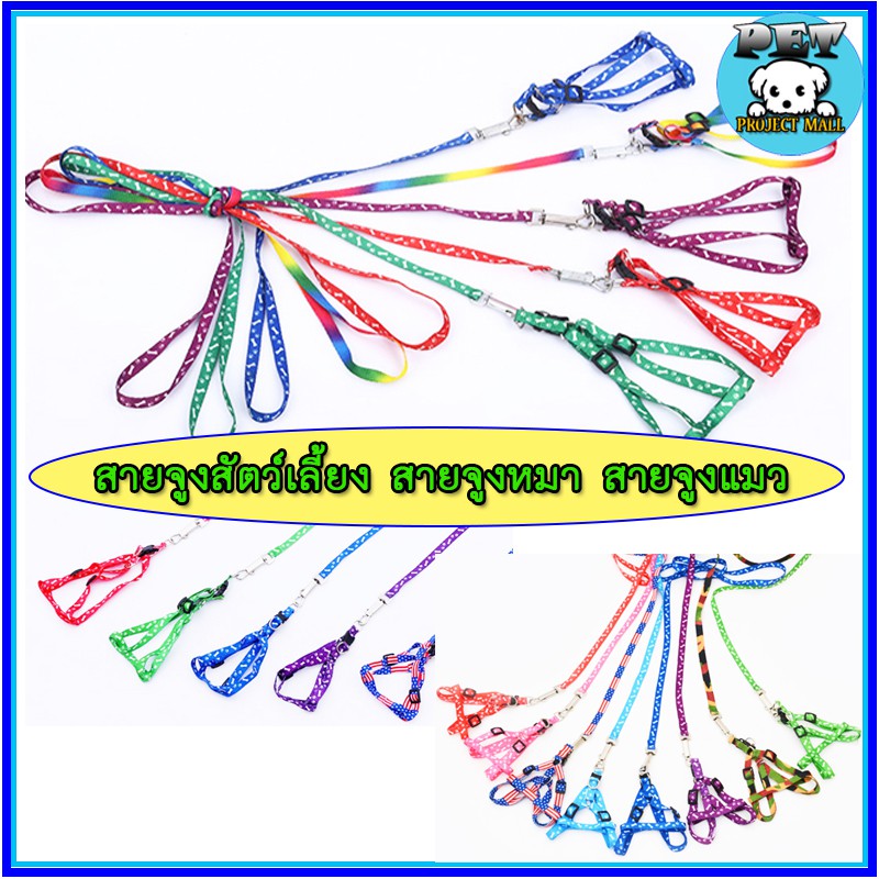 PP-016 สายจูงสัตว์เลี้ยง สายจูงคุณภาพดี สำหรับสุนัขและแมว ราคาสุดคุ้ม พร้อมส่งทันที! 🐶🐱👍🏻