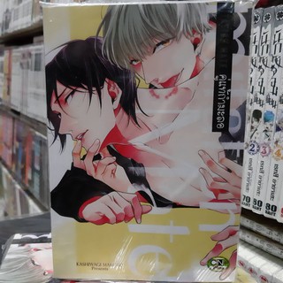 การ์ตูนวาย หนังสือการ์ตูนวาย เรื่่อง  คู่แท้กำมะลอ  จบในเล่ม