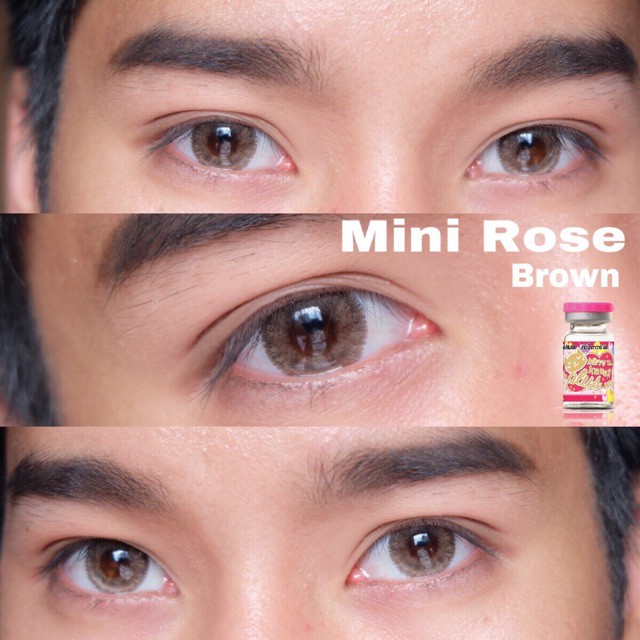 คอนแทคเลนส์ Mini Rose  Brown / Gray (Kitty Kawaii) ขนาดมินิ ราคา ถูกที่สุด ดีลบีเคเค แกลเลอรีภาพที่ 5
