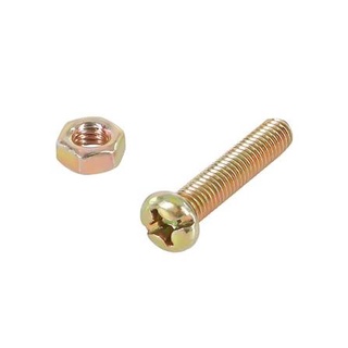 อุปกรณ์ยึดติด สกรูเกลียวมิล น็อต FITT JP 6X30 มม. สีรุ้ง Screws, Nuts &amp; Washers