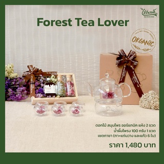 Forest Tea Lover เซตกาชาพร้อมน้ำผึ้งป่าสมุนไพรแห้ง