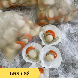 อาหารทะเล พร้อมส่ง! หอยเชลล์ / Heng Heng Seafood