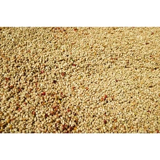 PK Italian Roast ขนาด 1,000g. เมล็ดกาแฟคั่วเข้มที่สุด คั่วเข้มที่สุด + ส่งไว คั่วใหม่
