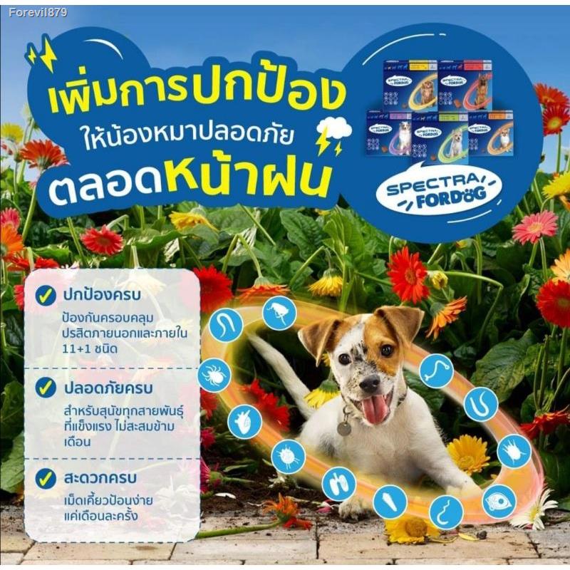 พร้อมสต็อก 1กล่อง 3เม็ด Next gard spectra dog แบ่ง1เม็ด และยกกล่อง 3 ...