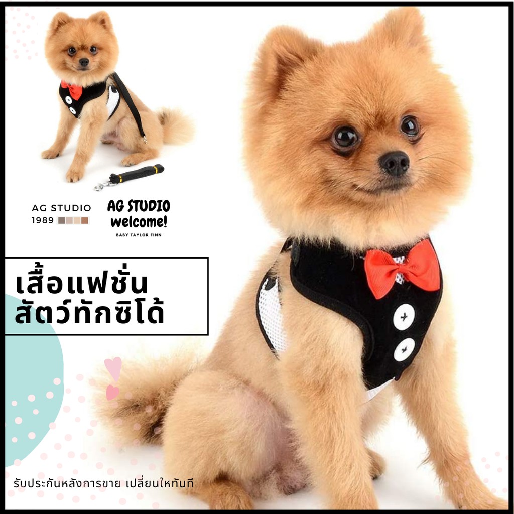 สายจูงเซตเสื้อทักซิโด้สุนัขและแมว ยาว 1.2m สินค้าจัดส่งออกภายใน 24 ชม.