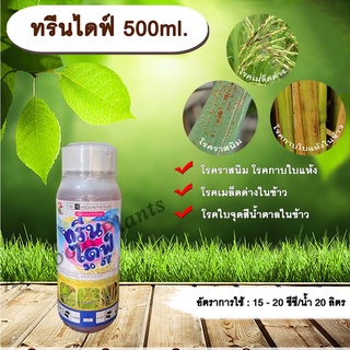 ทรีนไดฟ์ 500ml. ไดฟีโนโคนาโซล+โพรพิโคนาโซล สารกำจัดเชื้อรา โรคเมล็ดด่าง โรคราสนิม โรคใบจุดสีน้ำตาล