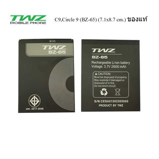 แบตเตอรี่ TWZ C9,Circle 9 (BZ-65) 7.1x8.7 cm. ของแท้