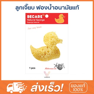 ลูกเจี๊ยบ Becare Natural Sponge ฟองน้ำอนามัย ฟองน้ำแท้จากธรรมชาติ