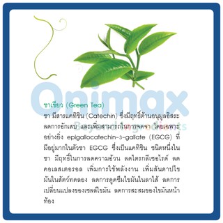 สารสกัดชาเขียว Green tea extract 500ml.