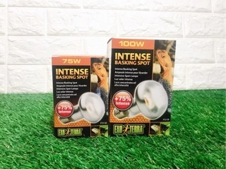 (พร้อมส่ง)Exoterra หลอดไฟเลี้ยงสัตว์ UVA Intense Basking Spot ( 50w , 75w , 100w ) (หลอดไฟให้ความร้อนสำหรับกลางวัน)