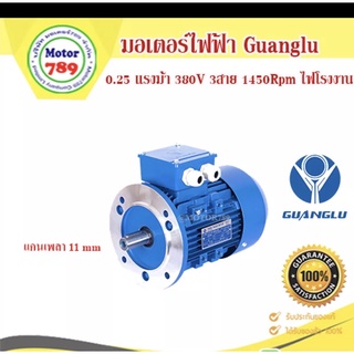 มอเตอร์GUANGLU  0.25Hp 4p 3PH B5 หน้าแปลน ไฟ220/380v. ไฟโรงงาน